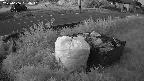 yotec1-20230606034041.jpg