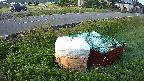 yotec1-20230606040042.jpg