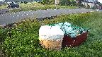 yotec1-20230606041043.jpg