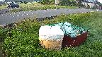 yotec1-20230606042043.jpg