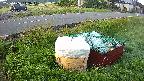 yotec1-20230606043042.jpg