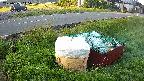 yotec1-20230606045041.jpg