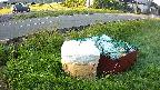 yotec1-20230606050041.jpg
