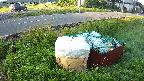 yotec1-20230606051042.jpg