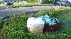 yotec1-20230606052041.jpg