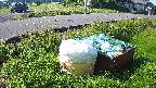 yotec1-20230606071042.jpg