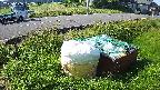 yotec1-20230606072042.jpg
