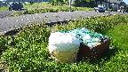 yotec1-20230606073042.jpg