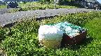 yotec1-20230606074044.jpg