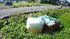 yotec1-20230606075044.jpg
