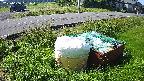 yotec1-20230606081044.jpg