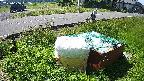 yotec1-20230606092041.jpg