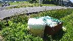 yotec1-20230606094040.jpg
