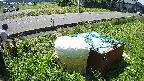 yotec1-20230606100042.jpg