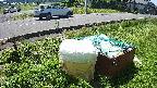 yotec1-20230606101042.jpg