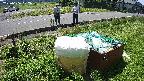 yotec1-20230606102041.jpg