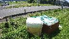 yotec1-20230606103042.jpg