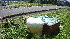 yotec1-20230606104043.jpg
