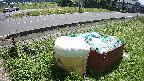 yotec1-20230606115041.jpg