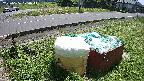yotec1-20230606120043.jpg
