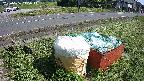 yotec1-20230606145044.jpg