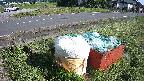 yotec1-20230606155042.jpg