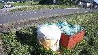 yotec1-20230606164043.jpg