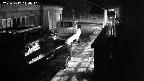 yotec1-20231212010041.jpg