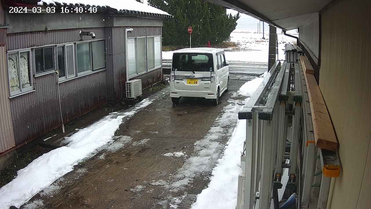 yotec1-20240303164041.jpg
