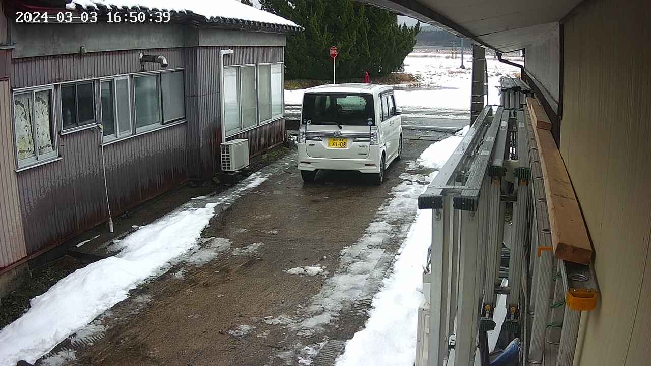 yotec1-20240303165040.jpg