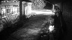 yotec1-20240707205042.jpg