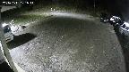 yotec1-20241111001041.jpg