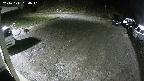 yotec1-20241111030041.jpg