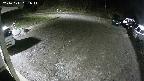 yotec1-20241111031041.jpg