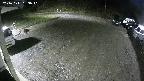 yotec1-20241111053040.jpg