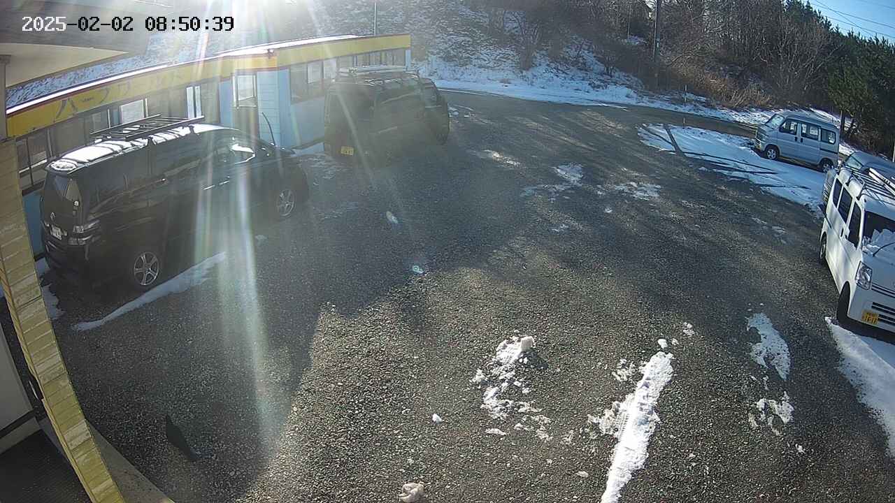yotec1-20250202085041.jpg