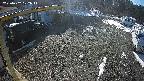 yotec1-20250202102042.jpg
