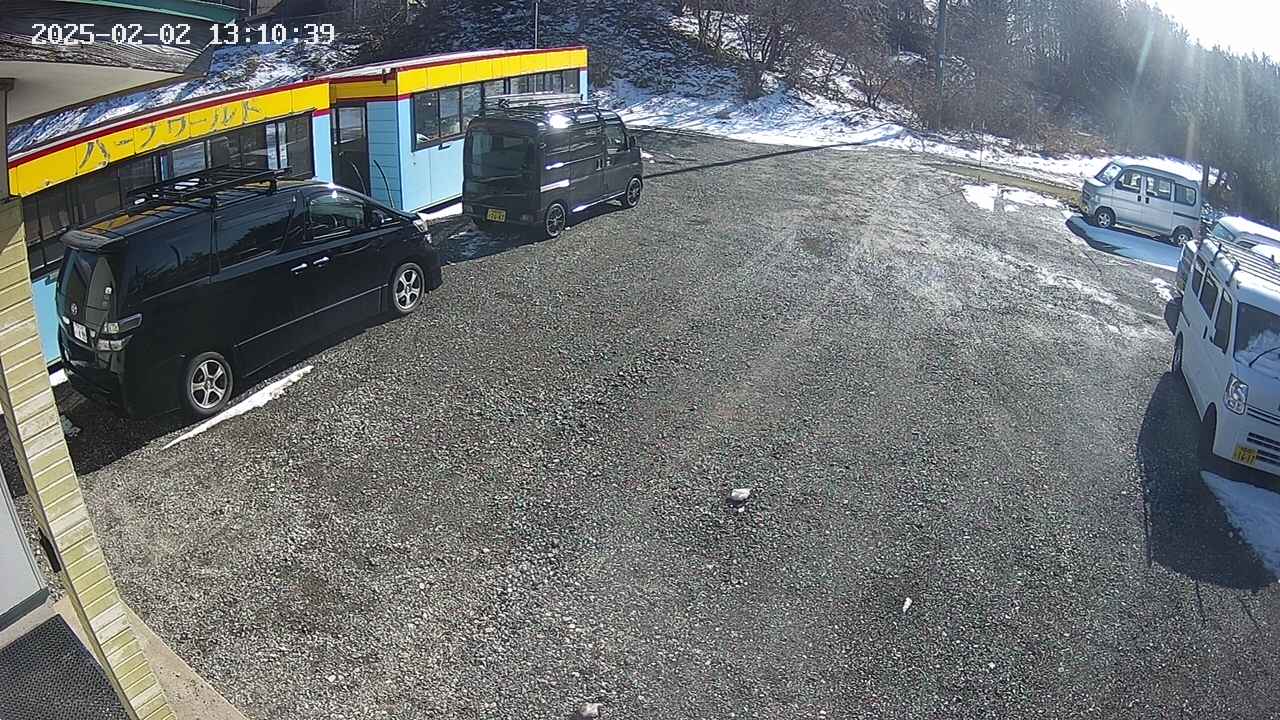 yotec1-20250202131041.jpg
