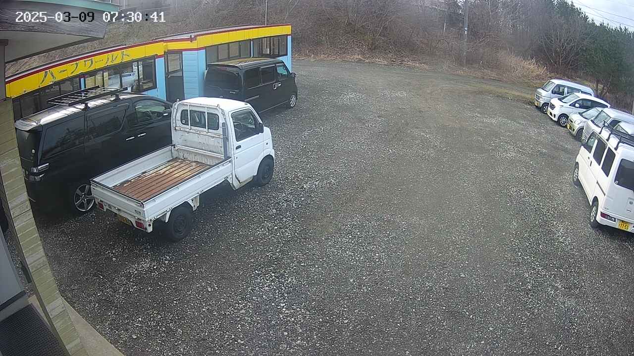 yotec1-20250309073043.jpg