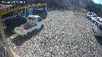 yotec1-20250309113043.jpg