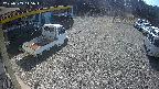 yotec1-20250309115043.jpg