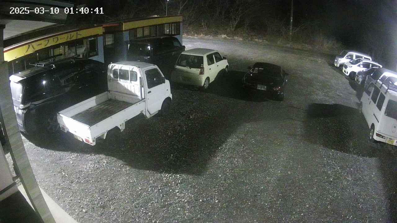 yotec1-20250310014042.jpg