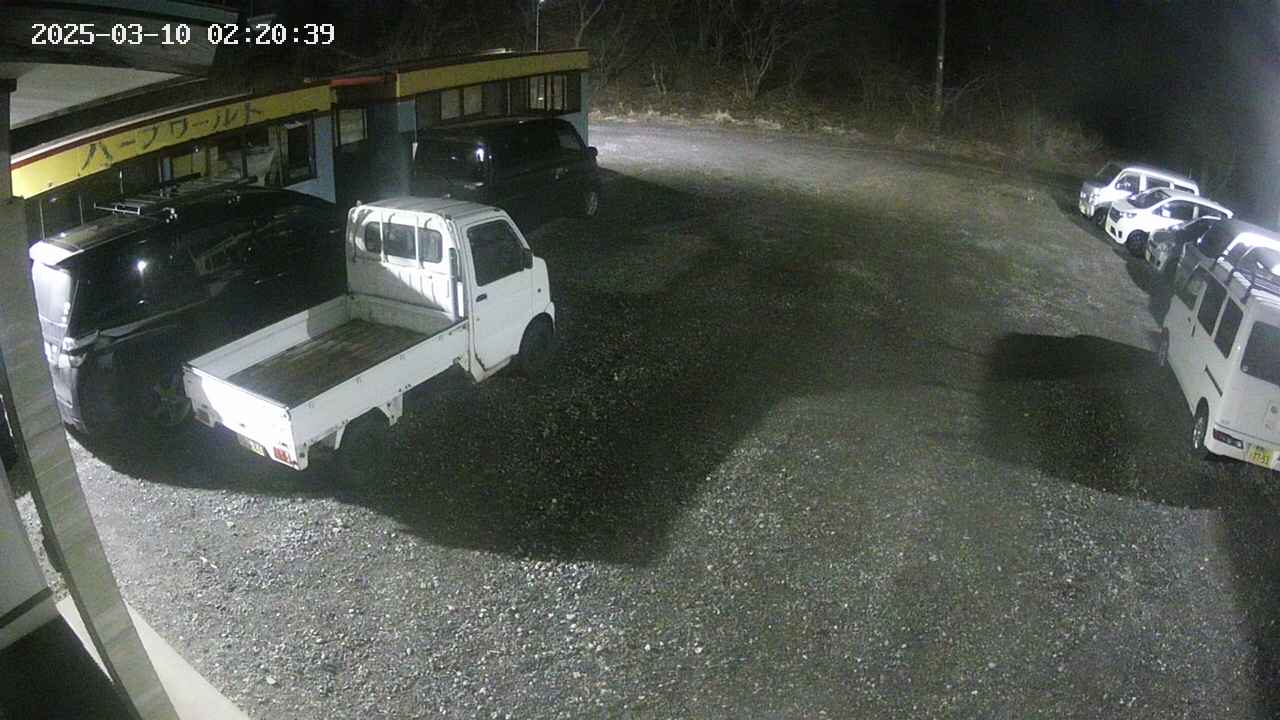 yotec1-20250310022040.jpg