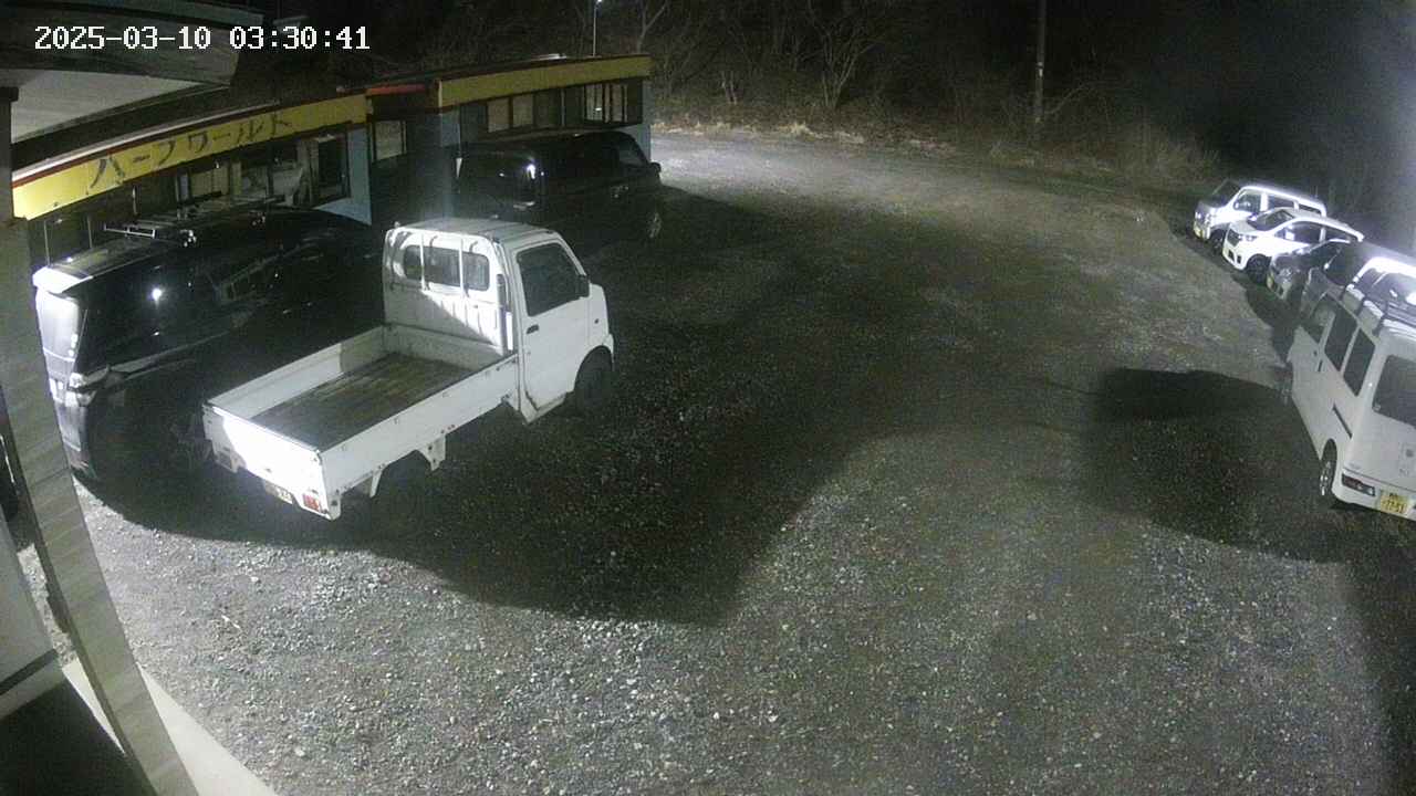 yotec1-20250310033042.jpg