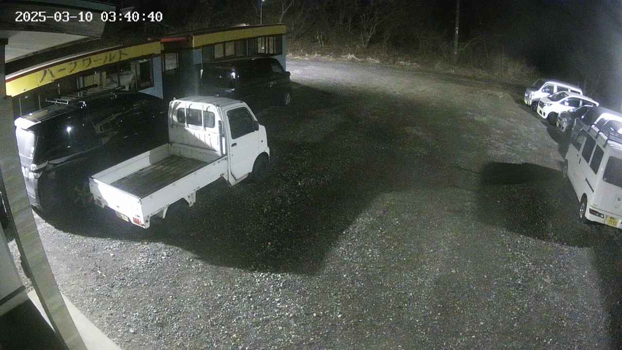 yotec1-20250310034041.jpg
