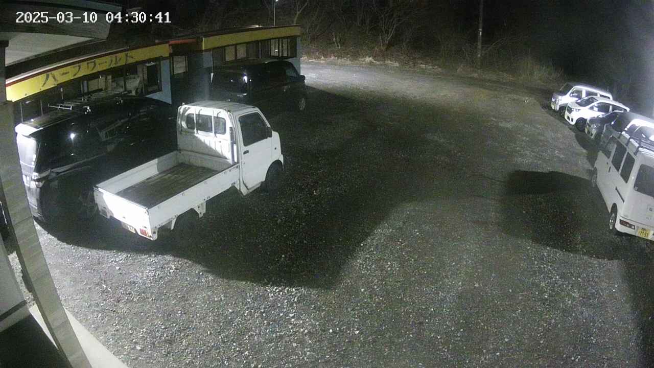 yotec1-20250310043042.jpg