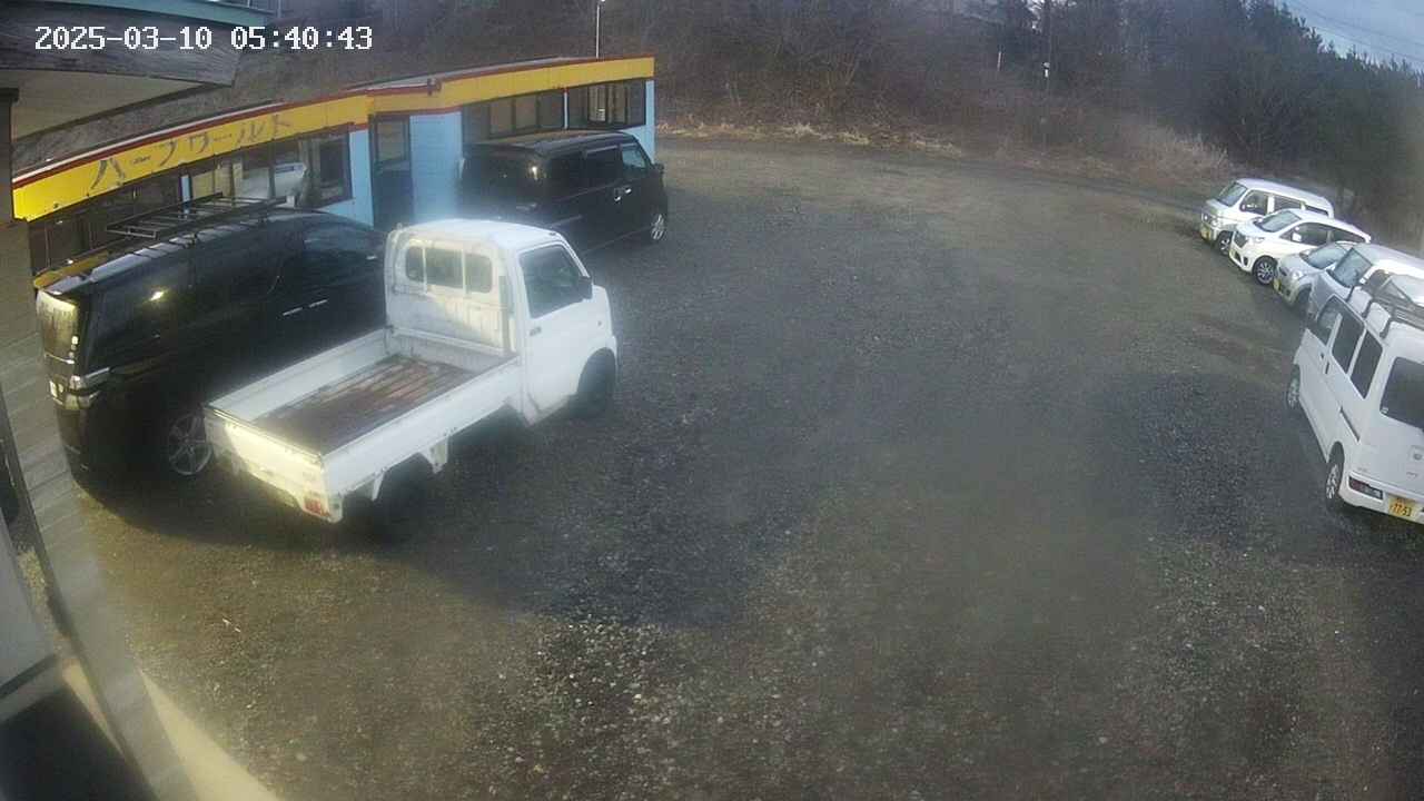 yotec1-20250310054043.jpg