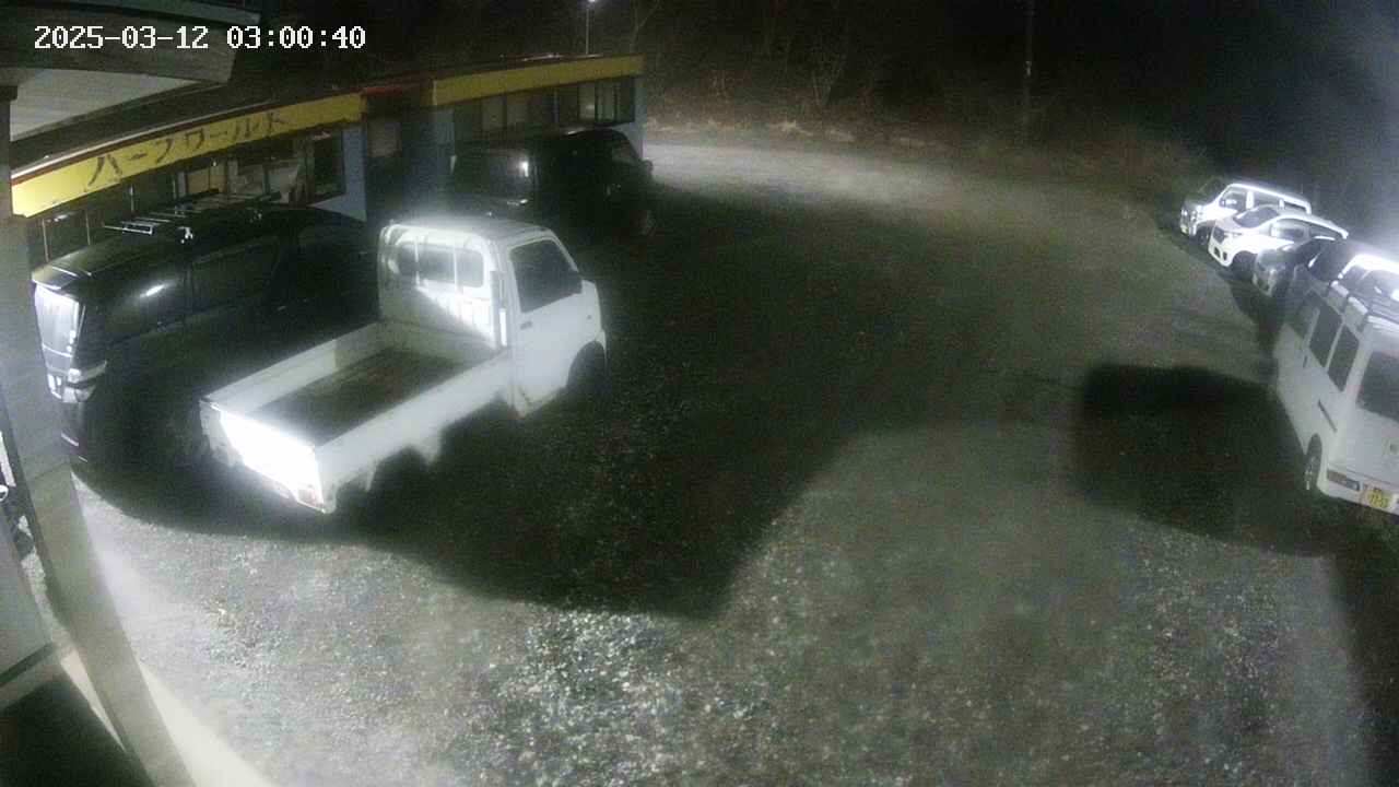 yotec1-20250312030041.jpg