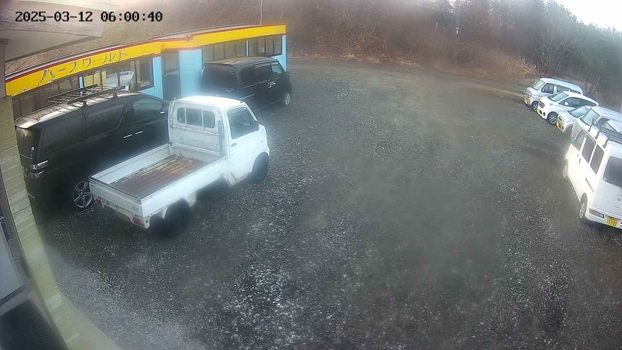 yotec1-20250312060042.jpg
