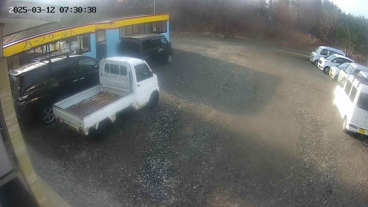 yotec1-20250312073040.jpg